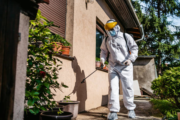 Best Local Pest Control Services  in Hopkins, SC