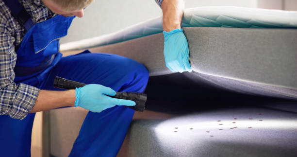 Best Emergency Pest Control  in Hopkins, SC