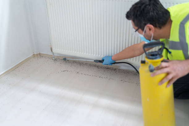 Best Best Pest Control Companies  in Hopkins, SC