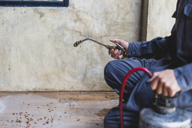 Pest Control Cost in Hopkins, SC